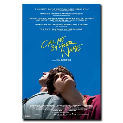 Call Me by Your Name 24x36inch Timothée Chalamet Movie Silk Poster   152772208634